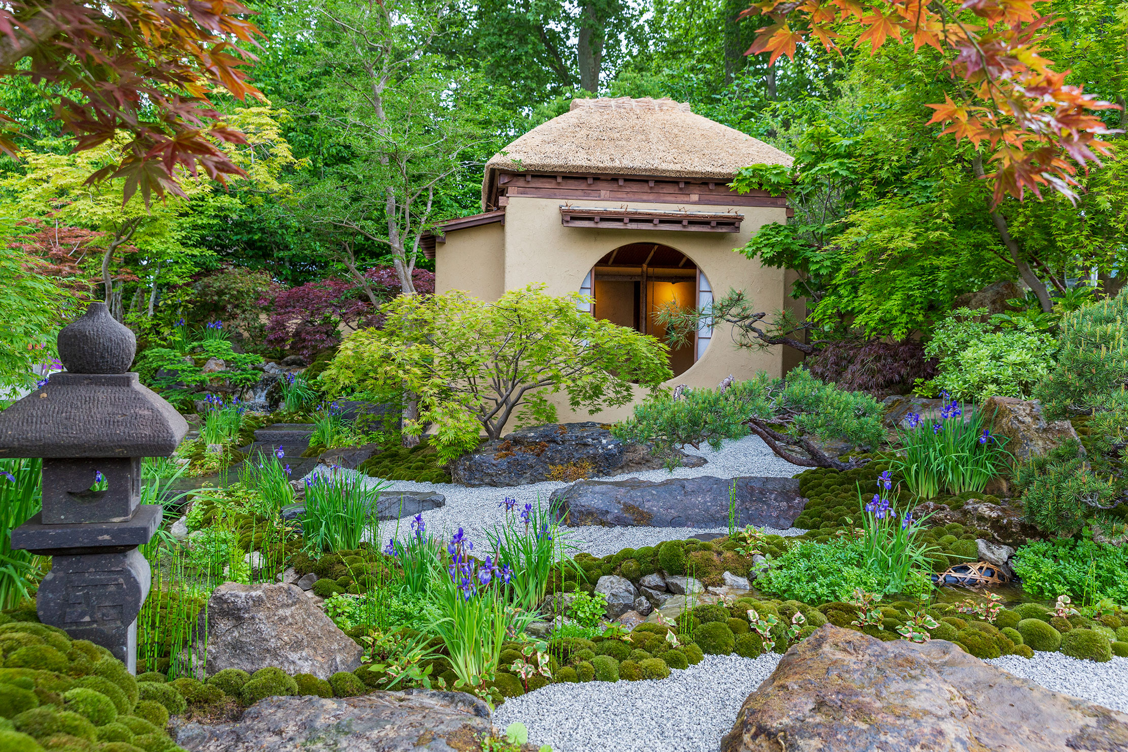 Cha no Niwa - the Japanese Tea Garden at the 2025 Chelsea Flower Show