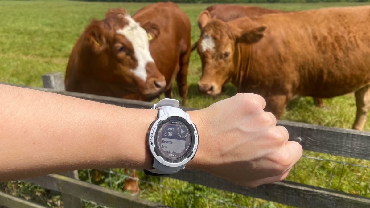 Garmin Instinct 2S being tested outside in rural location