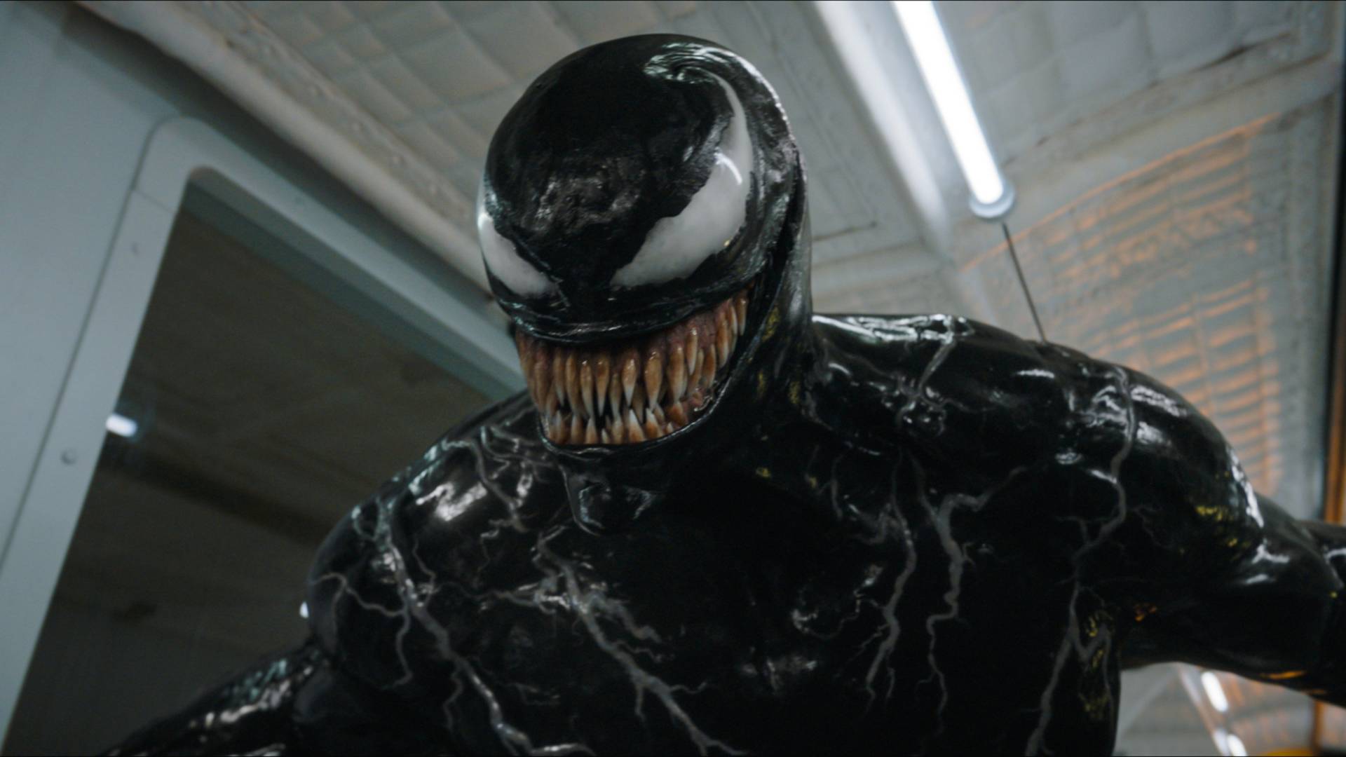 Venom in The Last Dance