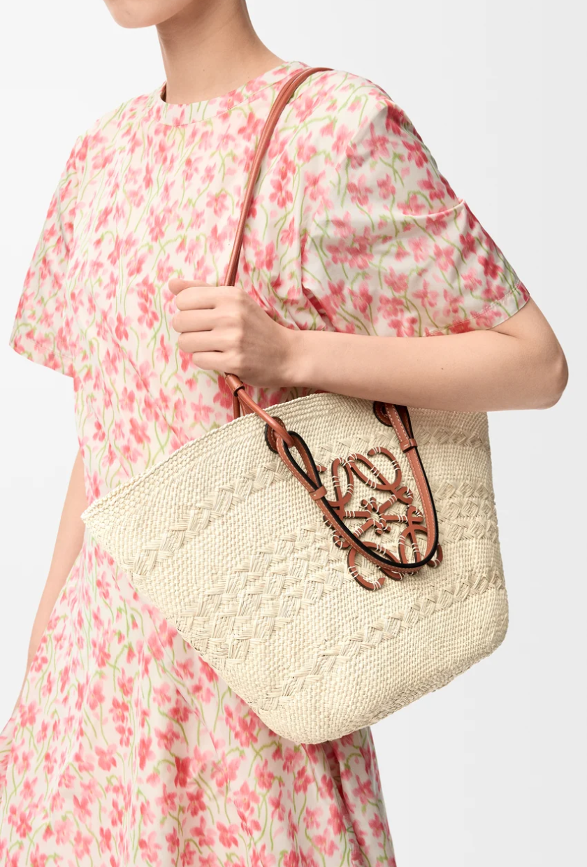 An image of a Loewe bag.
