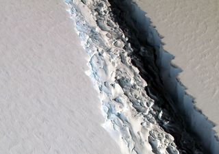 A huge crack can be seen in the Antarctic Peninsula's Larsen C ice shelf in this aerial image snapped on Nov. 10, 2016, as part of NASA's IceBridge mission.