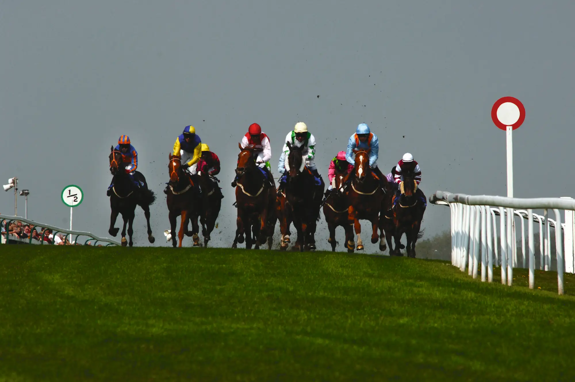 A group of racehorses coming up to the finishing post at Brighton races for a neck and neck result in 2007