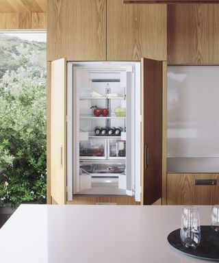Fridge designed by Fisher & Paykel