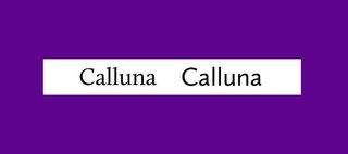 Font pairings: Calluna and Calluna Sans