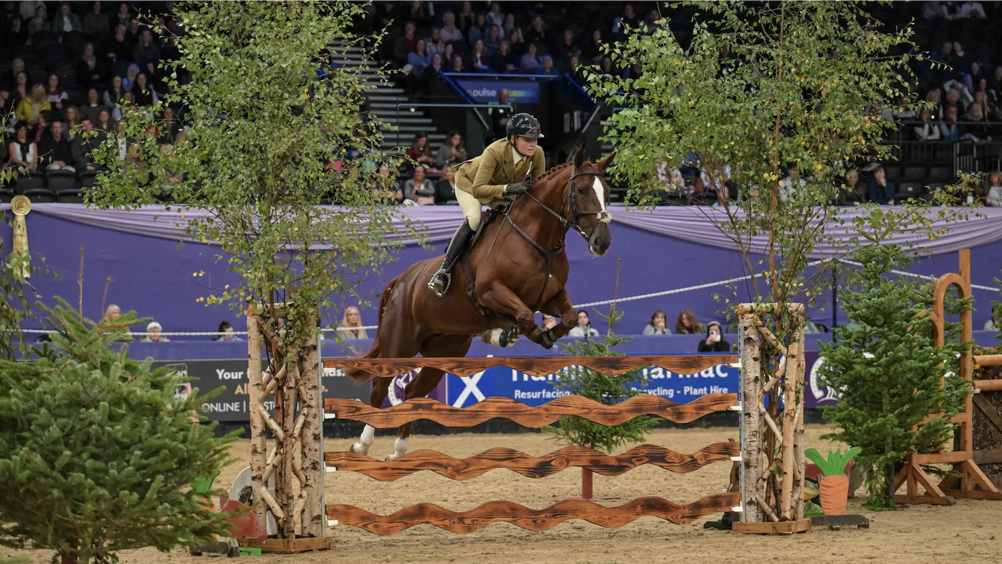 Katy Green and Gorsehill Layla jump a rustic fence at HOYS