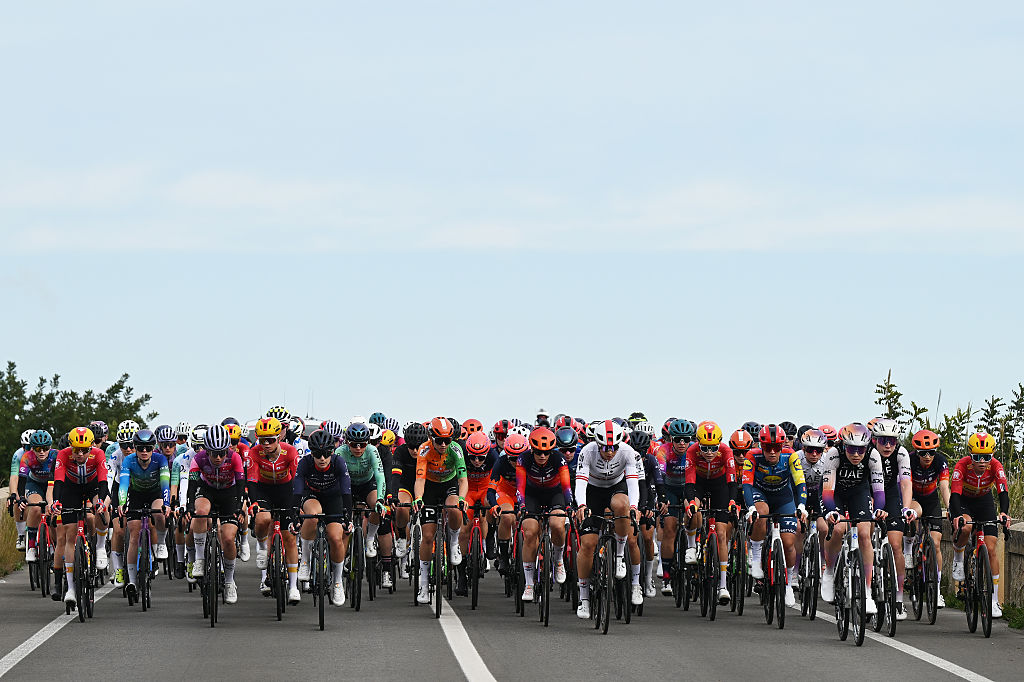 The main peloton in a 2026 professional race