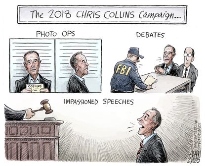 Political cartoon U.S. Chris Collins FBI insider trading indicted congress