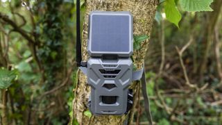 The Spypoint FLEX-S-Dark trail camera in a woodland