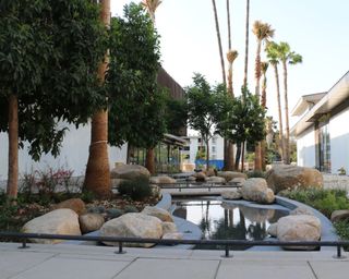 An LA garden with water feature and arid planting