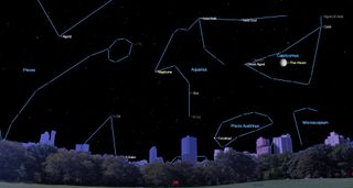 On Tuesday, September 10, Neptune will be directly opposite the sun in the sky. At opposition, Neptune will be closest to Earth for the year, slightly brighter and larger in telescopes, and visible all night long. The dim, magnitude 7.8, blue planet will be located among the stars of eastern Aquarius, just 7.5 arc-minutes (approximately one-quarter of the moon's apparent diameter) to the right (or celestial west) of the naked-eye star Phi (φ) Aquarii. Both Neptune and that star will appear together in the field of view of a backyard telescope at medium power.