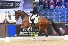 2024 Winter Dressage Championships