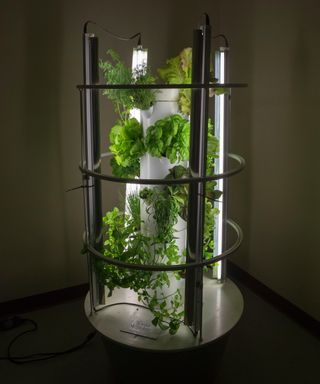 Hydroponics garden