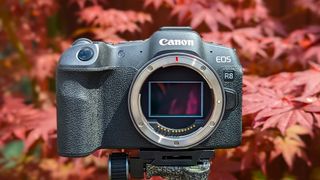 The Canon EOS R8 atop a tripod without a lens