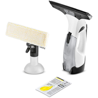 Karcher WV5 Plus Window Vac