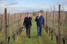 Composition Willamette Valley