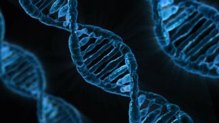 Manipulating human DNA is the most extreme example of biohacking
