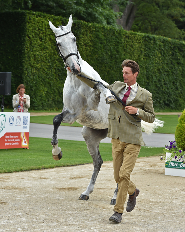 bramham 2018