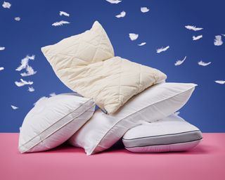 Best pillows on bright background with feathers