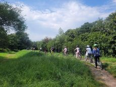 A group of girls cycle along a path