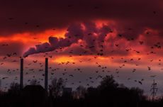 Heavy smoke spewed from coal powered plant smoke stacks under dramatic red sunset