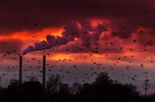 Heavy smoke spewed from coal powered plant smoke stacks under dramatic red sunset
