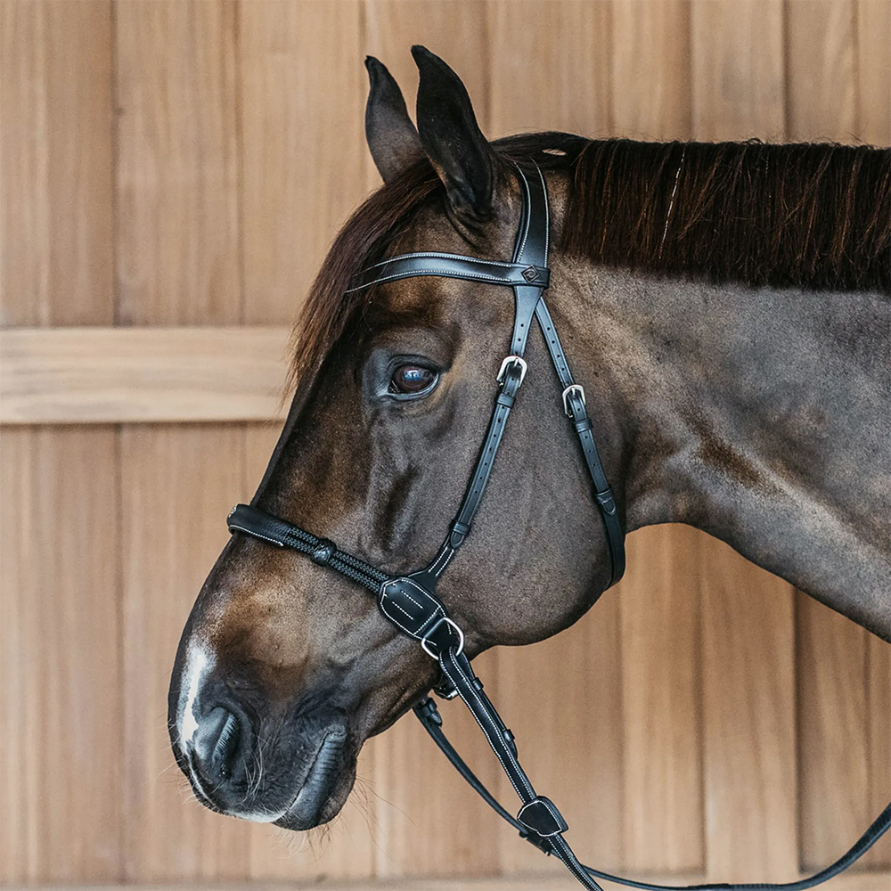 Horse wearing Dy'on working bitless bridle