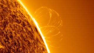 Faint loops of plasma on the sun