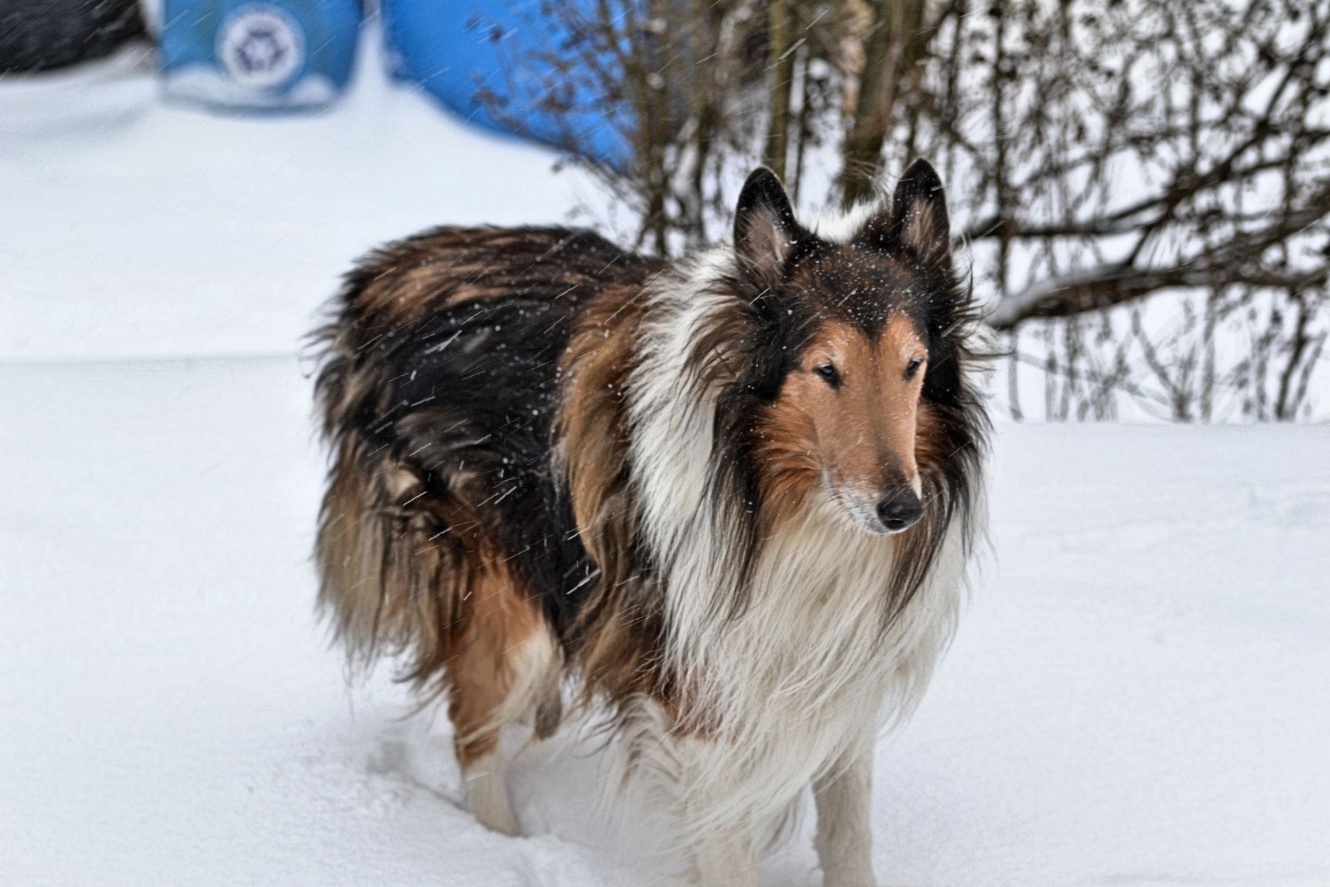 GuruShots - Nature&rsquo;s Masterpiece 2026