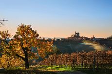 best barolo producers