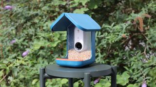 Bird buddy Smart Feeder in a garden