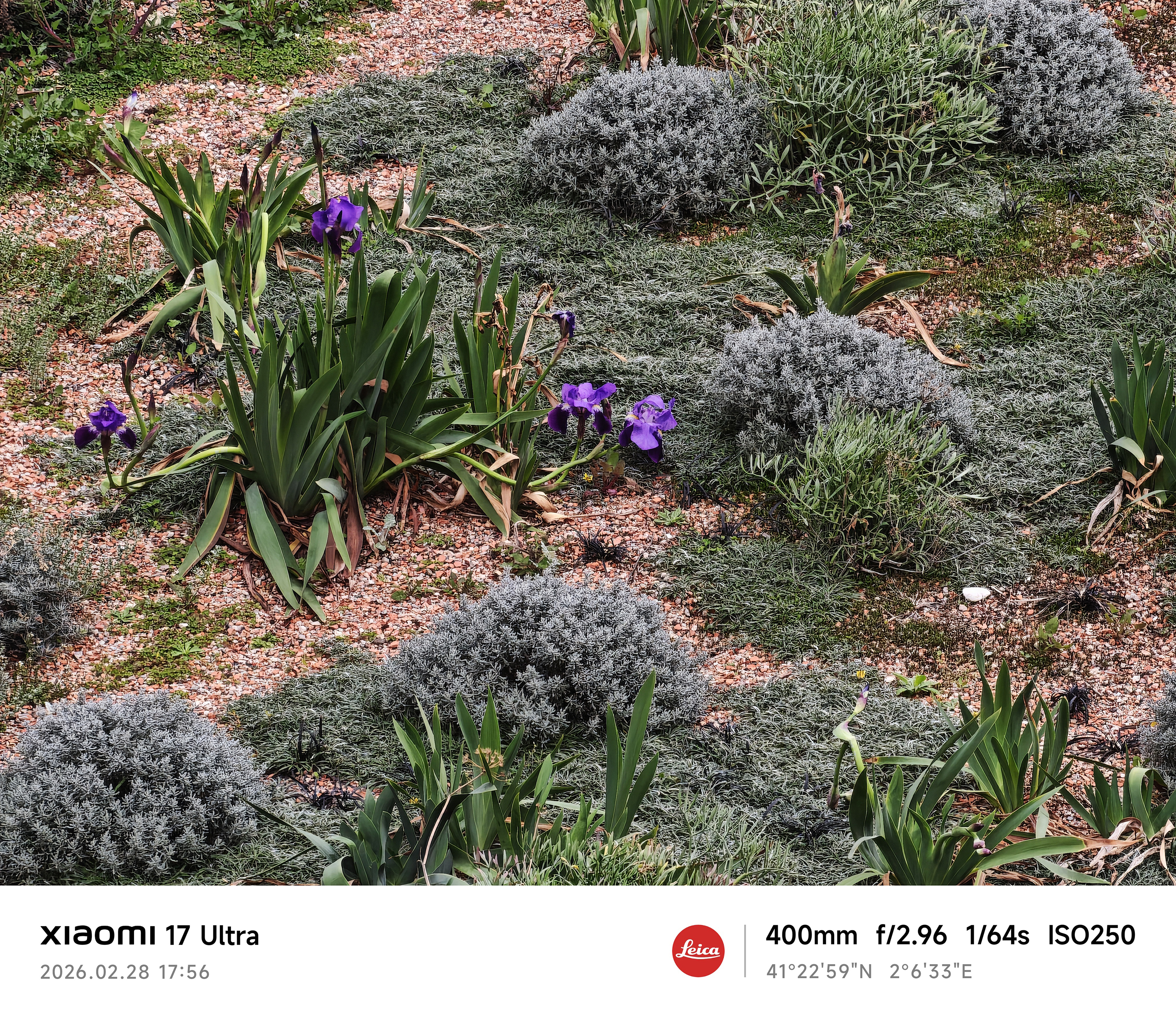 Xiaomi 17 Ultra camera sample zoom 17 point 2x 10MB