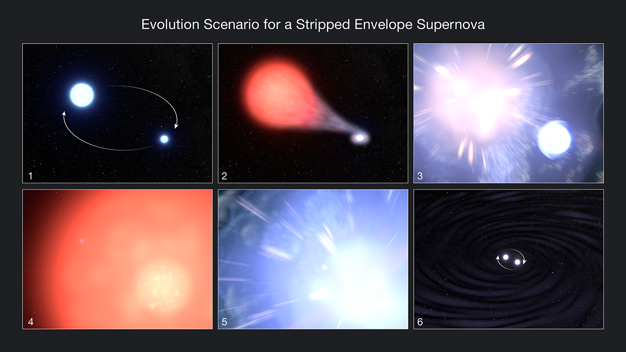 An artist's illustration of how massive binary stars form and evolve, before exploding as bright supernovas. Panels 1-3 show what has already occurred in the system that contains SN 2013ge, with one star reaching its red giant stage while its companion star siphons off its hydrogen. The red giant then explodes without destroying the companion star Panels 4-6 show what may take place in the future, with the companion undergoing a similar, explosive fate.