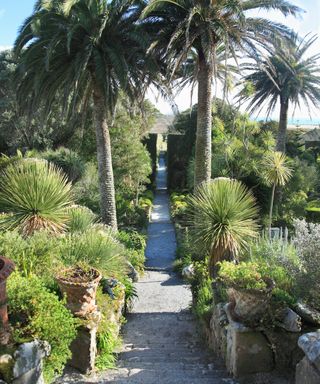 Architecturally planted flower bed ideas in a rocky garden with stone path and palm trees.