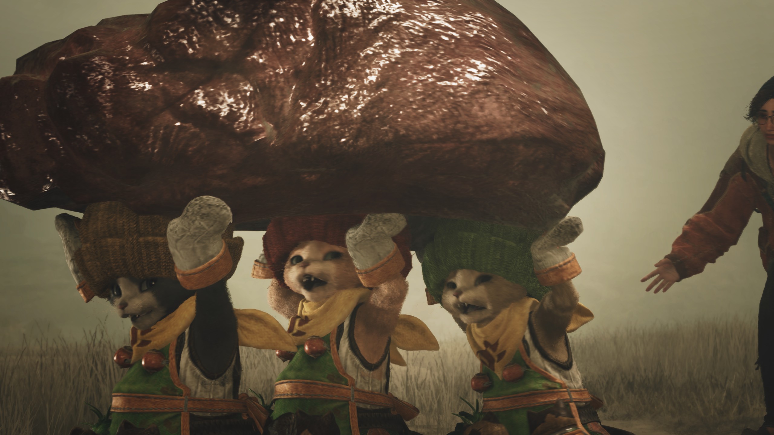 Monster Hunter Wilds Palicos carrying meat