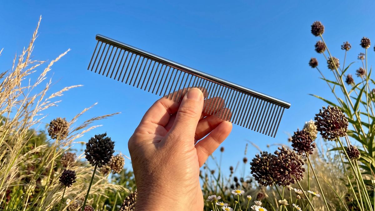 This 5 Minute Garden Job With a $4 Dog Comb in August Saves Me Hours of Weeding in Spring