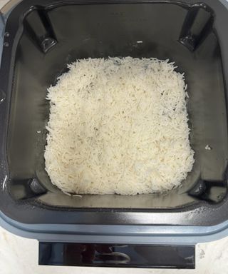 Cooked white rice in the Ninja Speedi rice cooker