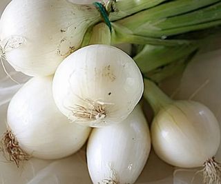 A bunch of Crystal White Wax onions