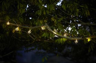 An example of outdoor string lighting ideas showing string garden lights around a tree branch