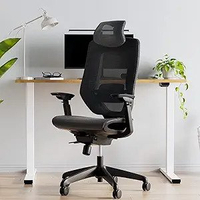 Flexispot Classic Pro mesh ergonomic office chair: Now $200