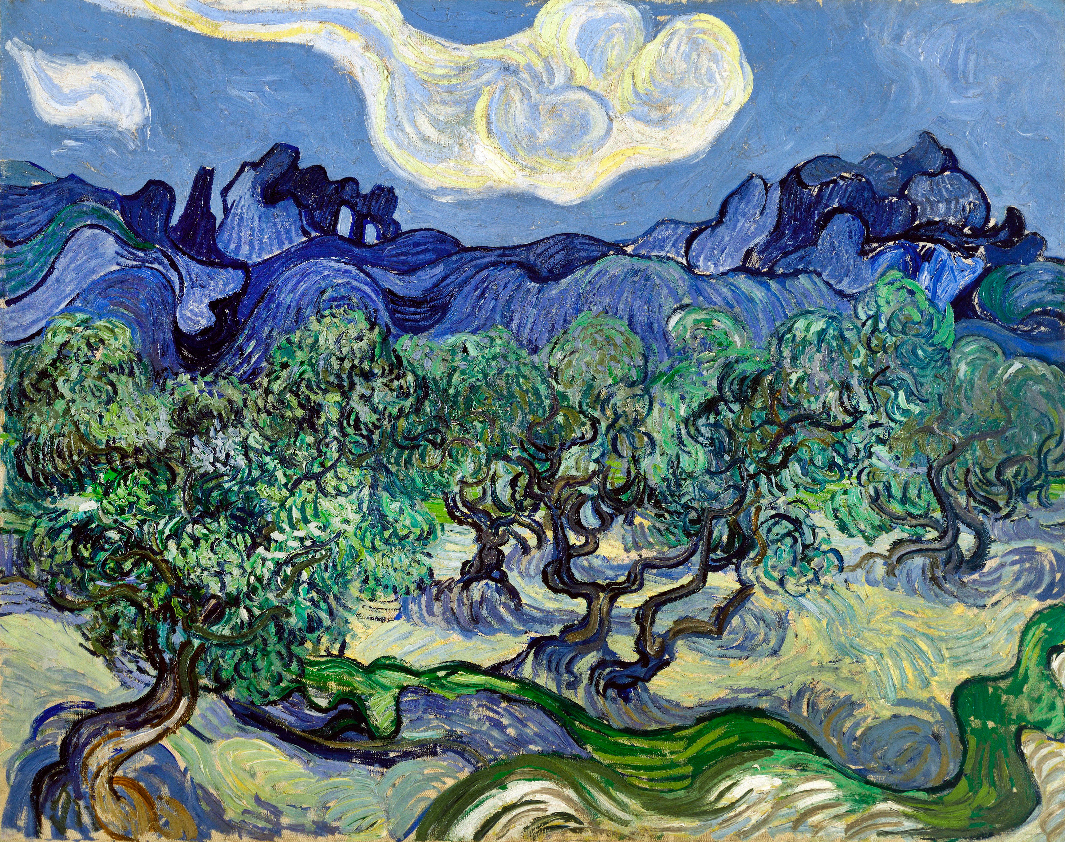 Vincent van Gogh, The Olive Trees, 1889, Oil on canvas. The Museum of Modern Art, New York City