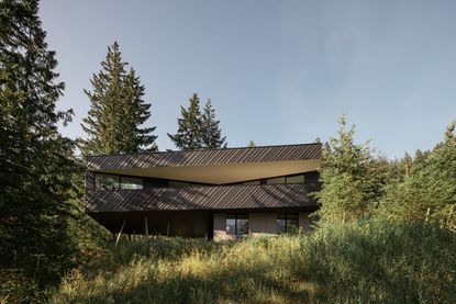 view of Passive House Forest Retreat, a timber structure engulfed in the tree canopy
