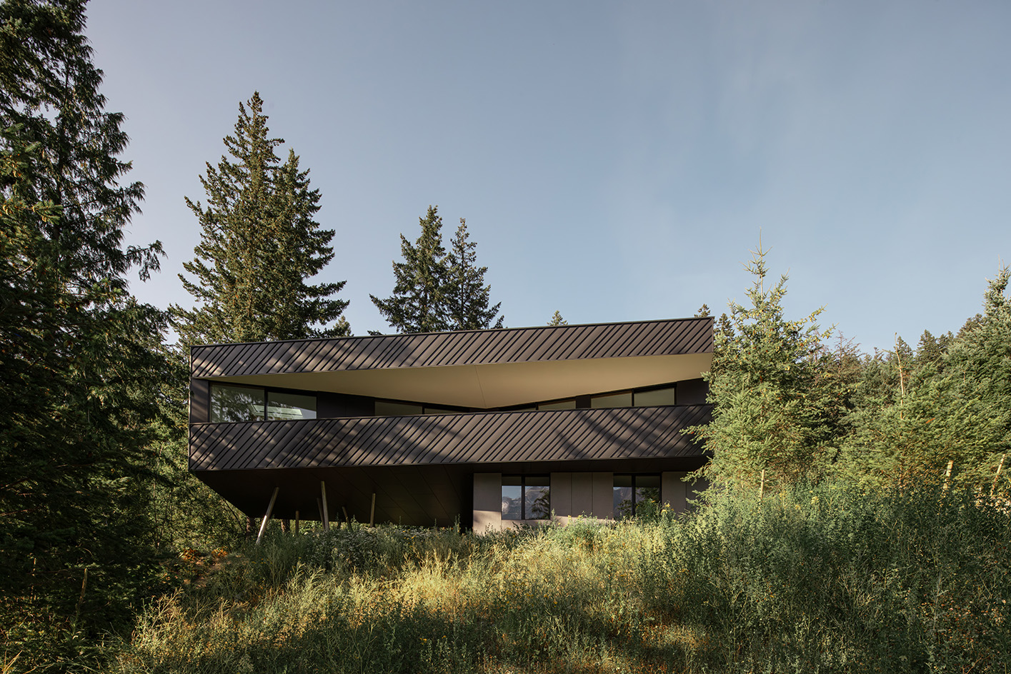 view of Passive House Forest Retreat, a timber structure engulfed in the tree canopy