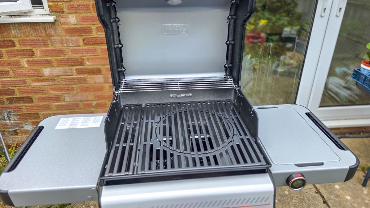 Weber Spirit EX325 grilling foods