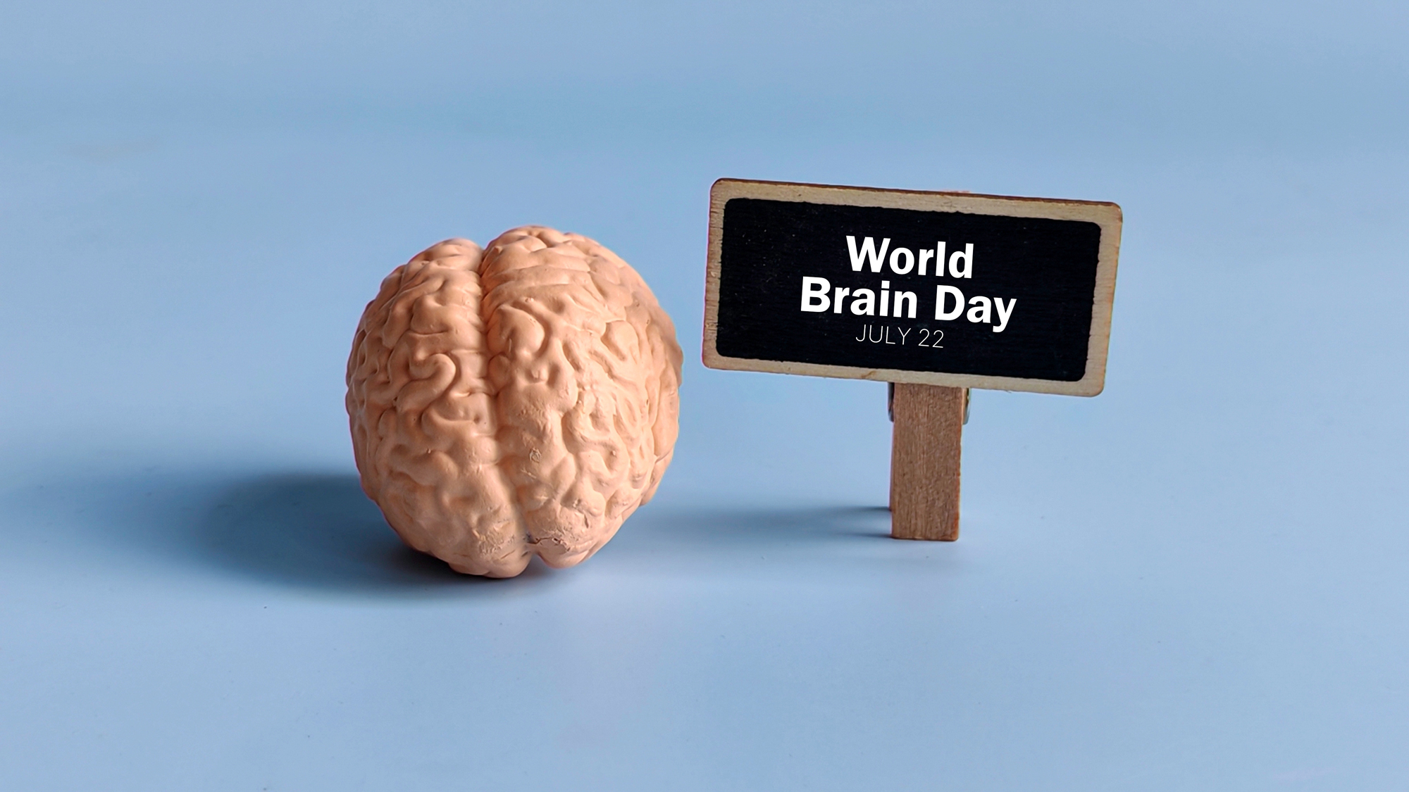 world health day