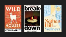 Book covers of Wild Houses by Colin Barrett, Breakdown by Cathy Sweeney, and Wellness by Nathan Hill