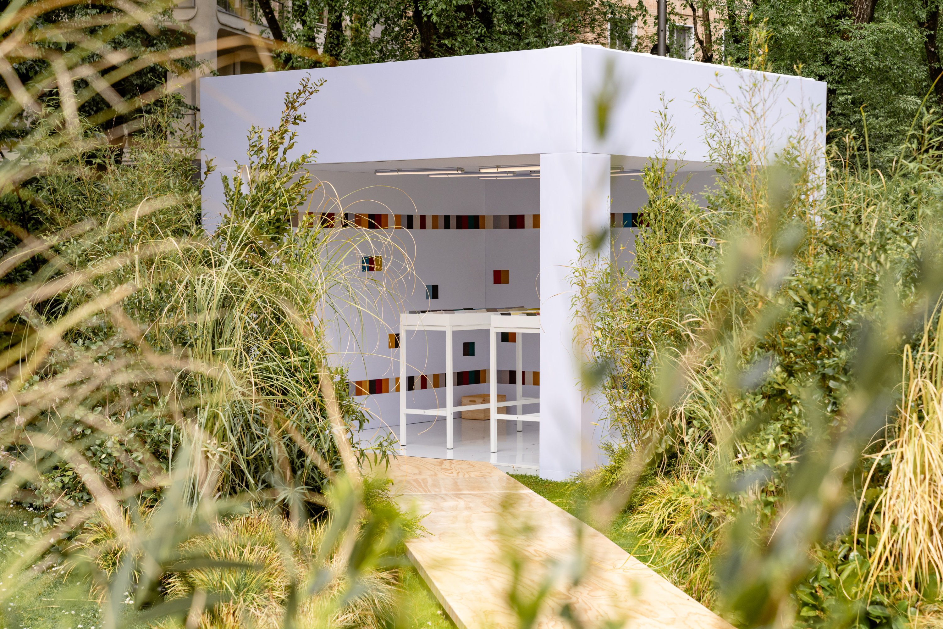 Mini: A Garden of Curiosity with Paul Smith