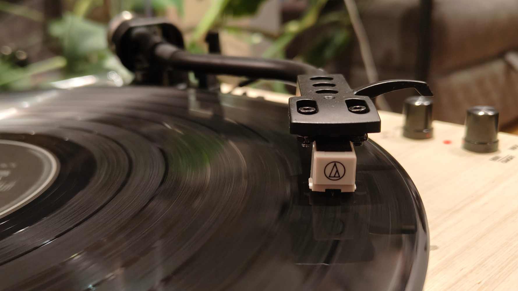 The Majority Folio on a bronze table with plants in the background.