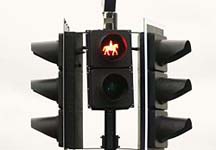pegasus-crossing.jpg
