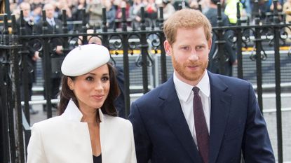 Harry and Meghan on Meghan feeling unprotected throughout pregnancy