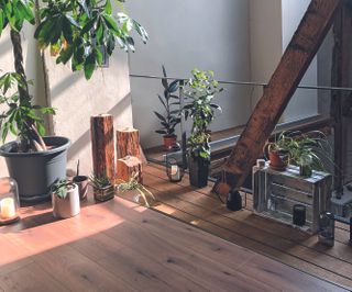 Artist in residence; plants on a balcony